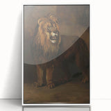 Vintage Animal Art - Fierce Lion Antique Wildlife Print