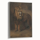 Vintage Animal Art - Fierce Lion Antique Wildlife Print