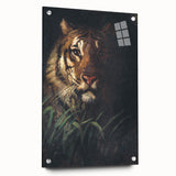Vintage Animal Art - Majestic Tiger in the Grass Antique Print