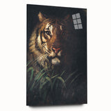 Vintage Animal Art - Majestic Tiger in the Grass Antique Print