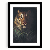 Vintage Animal Art - Majestic Tiger in the Grass Antique Print
