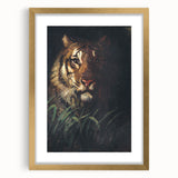 Vintage Animal Art - Majestic Tiger in the Grass Antique Print
