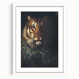 Vintage Animal Art - Majestic Tiger in the Grass Antique Print