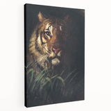 Vintage Animal Art - Majestic Tiger in the Grass Antique Print