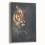 Vintage Animal Art - Majestic Tiger in the Grass Antique Print