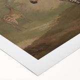 Vintage Animal Art - Majestic Zebra in Nature Antique Print