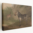 Vintage Animal Art - Majestic Zebra in Nature Antique Print