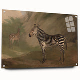 Vintage Animal Art - Majestic Zebra in Nature Antique Print