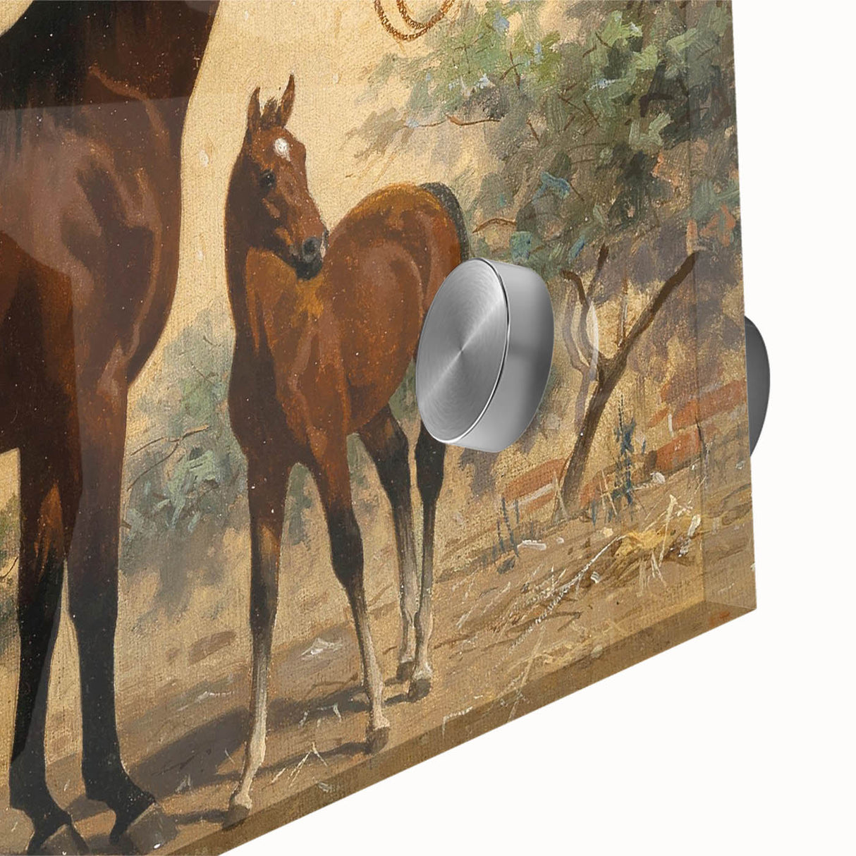 Vintage Animal Art: Horse and Foal – Antique Wildlife Print
