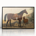 Vintage Animal Art: Horse and Foal – Antique Wildlife Print
