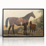 Vintage Animal Art: Horse and Foal – Antique Wildlife Print