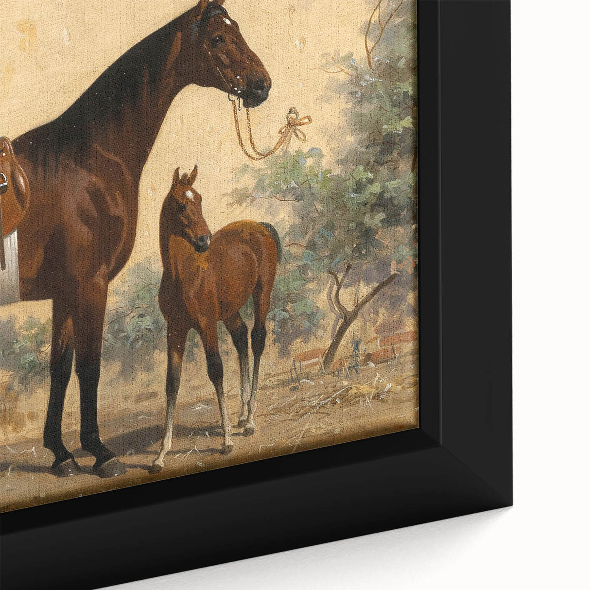 Vintage Animal Art: Horse and Foal – Antique Wildlife Print