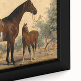 Vintage Animal Art: Horse and Foal – Antique Wildlife Print