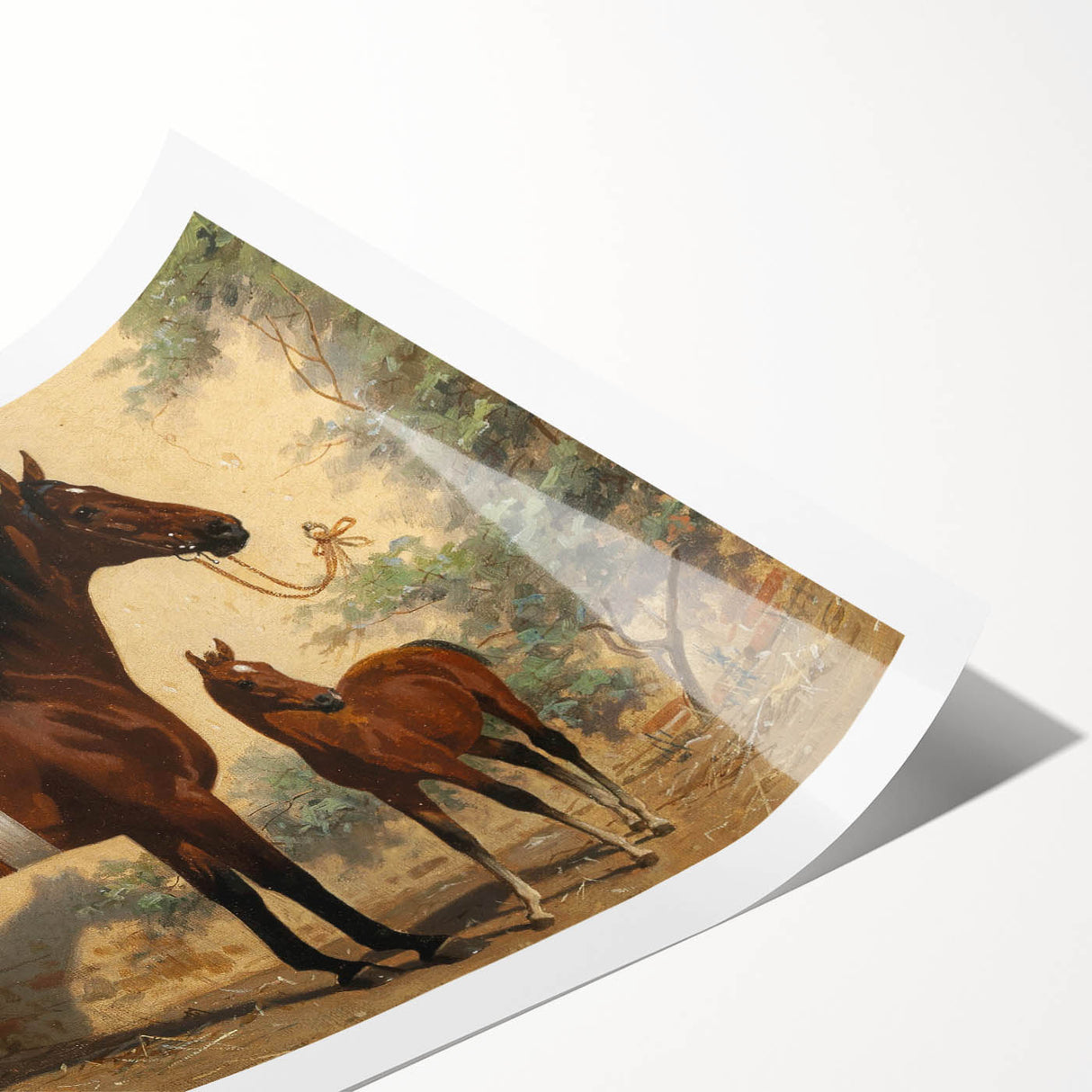 Vintage Animal Art: Horse and Foal – Antique Wildlife Print