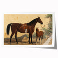 Vintage Animal Art: Horse and Foal – Antique Wildlife Print