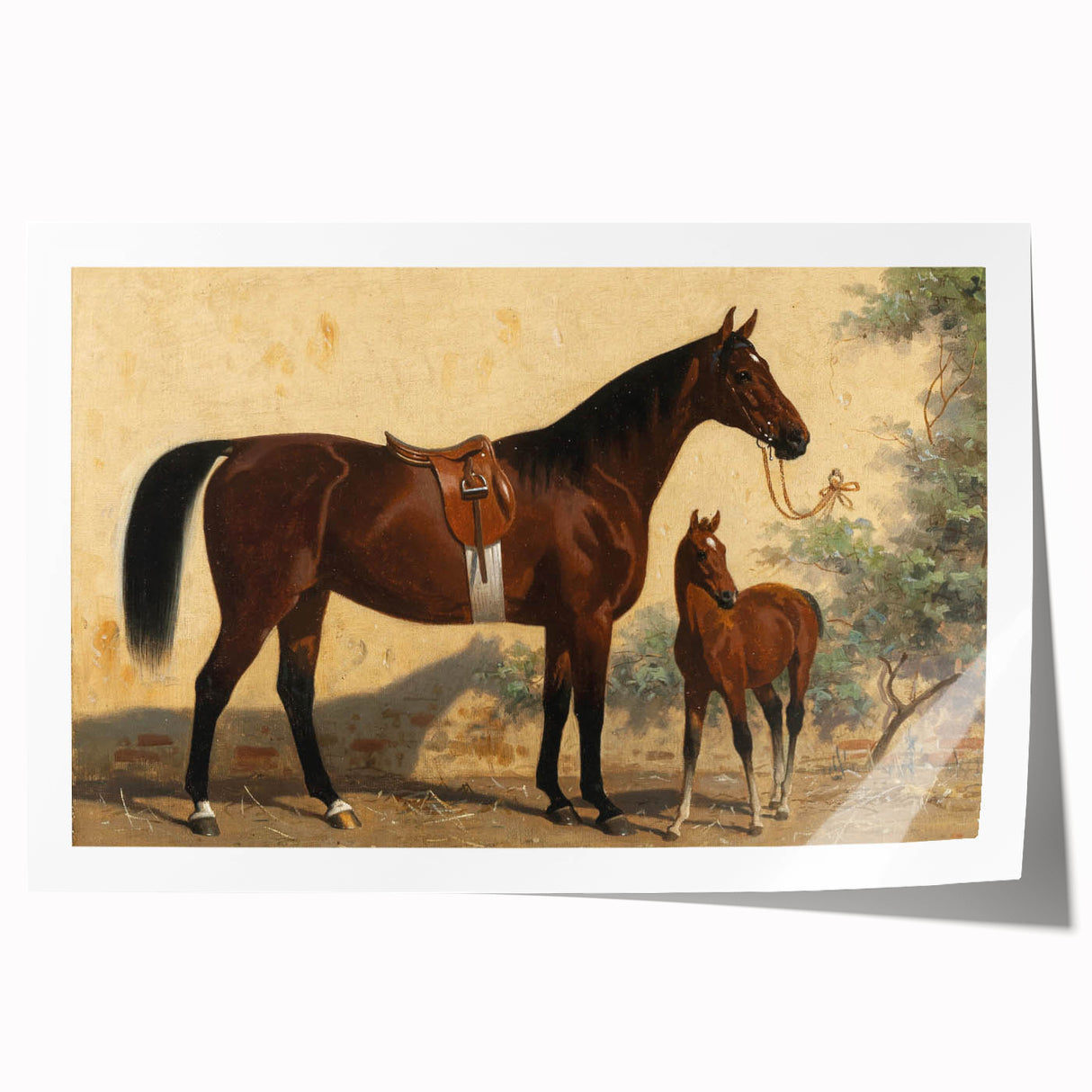 Vintage Animal Art: Horse and Foal – Antique Wildlife Print
