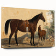 Vintage Animal Art: Horse and Foal – Antique Wildlife Print