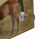 Vintage Animal Art: Majestic Horse – Antique Wildlife Print