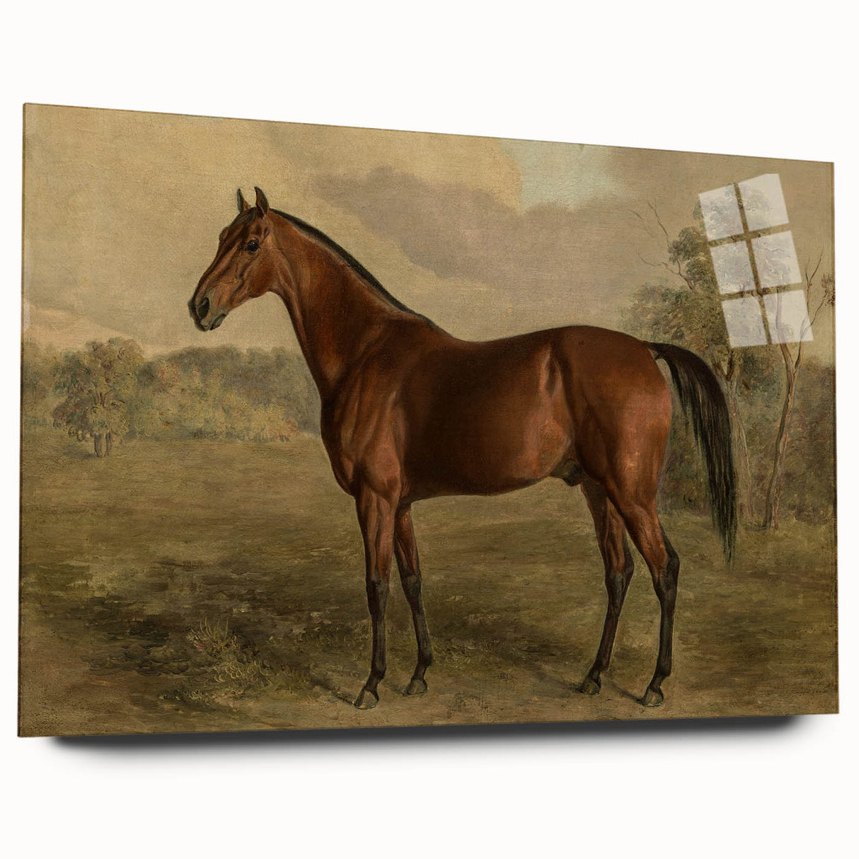 Vintage Animal Art: Majestic Horse – Antique Wildlife Print