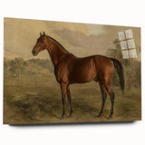 Vintage Animal Art: Majestic Horse – Antique Wildlife Print