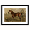 Vintage Animal Art: Majestic Horse – Antique Wildlife Print