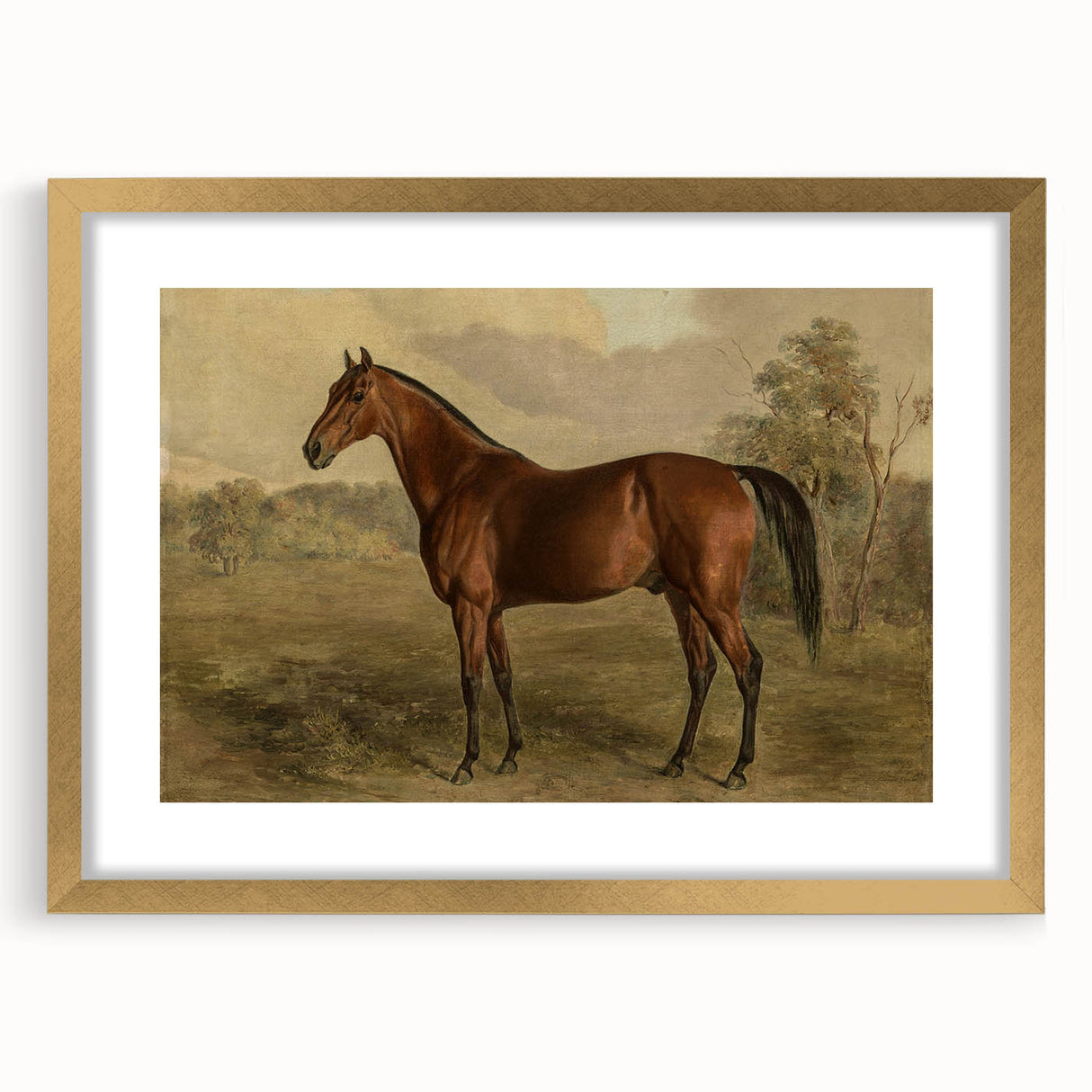 Vintage Animal Art: Majestic Horse – Antique Wildlife Print