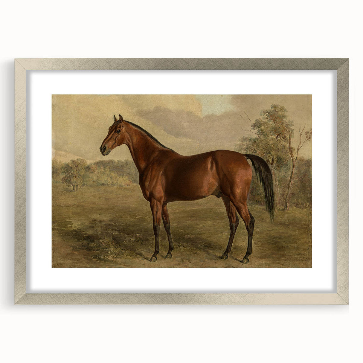 Vintage Animal Art: Majestic Horse – Antique Wildlife Print