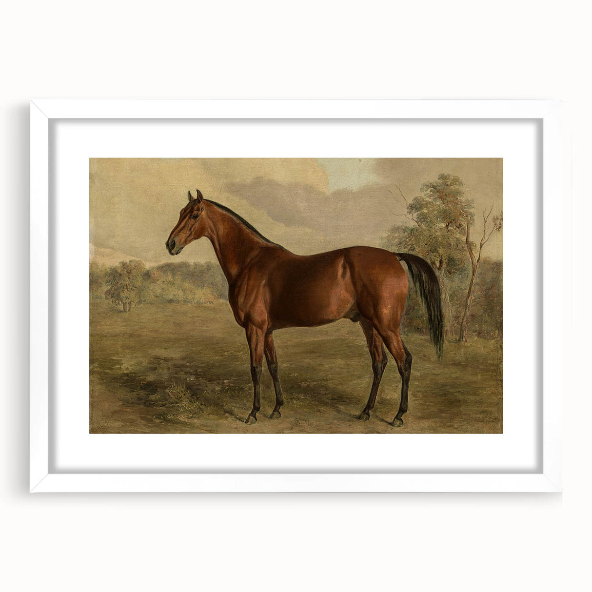 Vintage Animal Art: Majestic Horse – Antique Wildlife Print