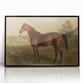 Vintage Animal Art: Majestic Horse – Antique Wildlife Print