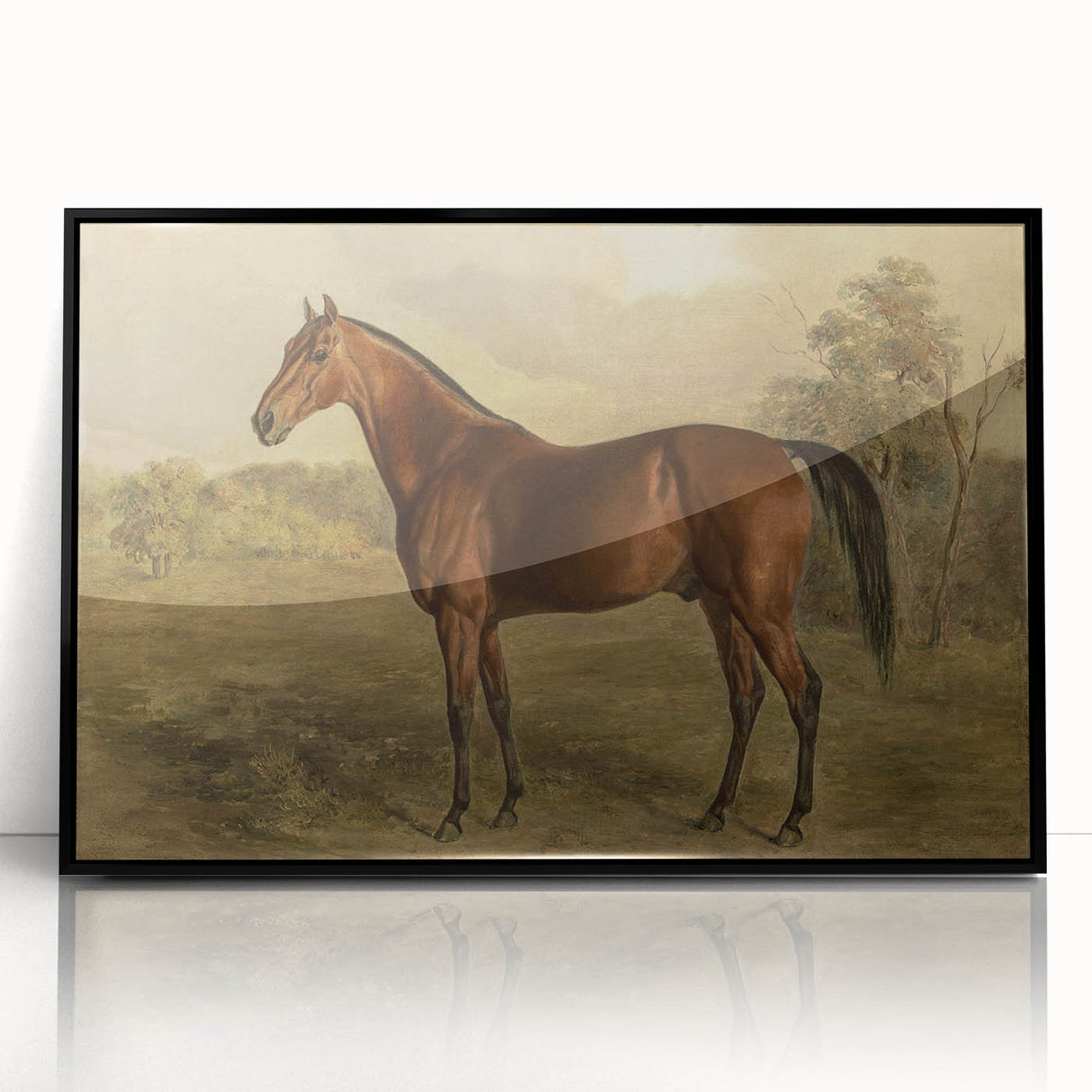 Vintage Animal Art: Majestic Horse – Antique Wildlife Print