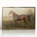 Vintage Animal Art: Majestic Horse – Antique Wildlife Print