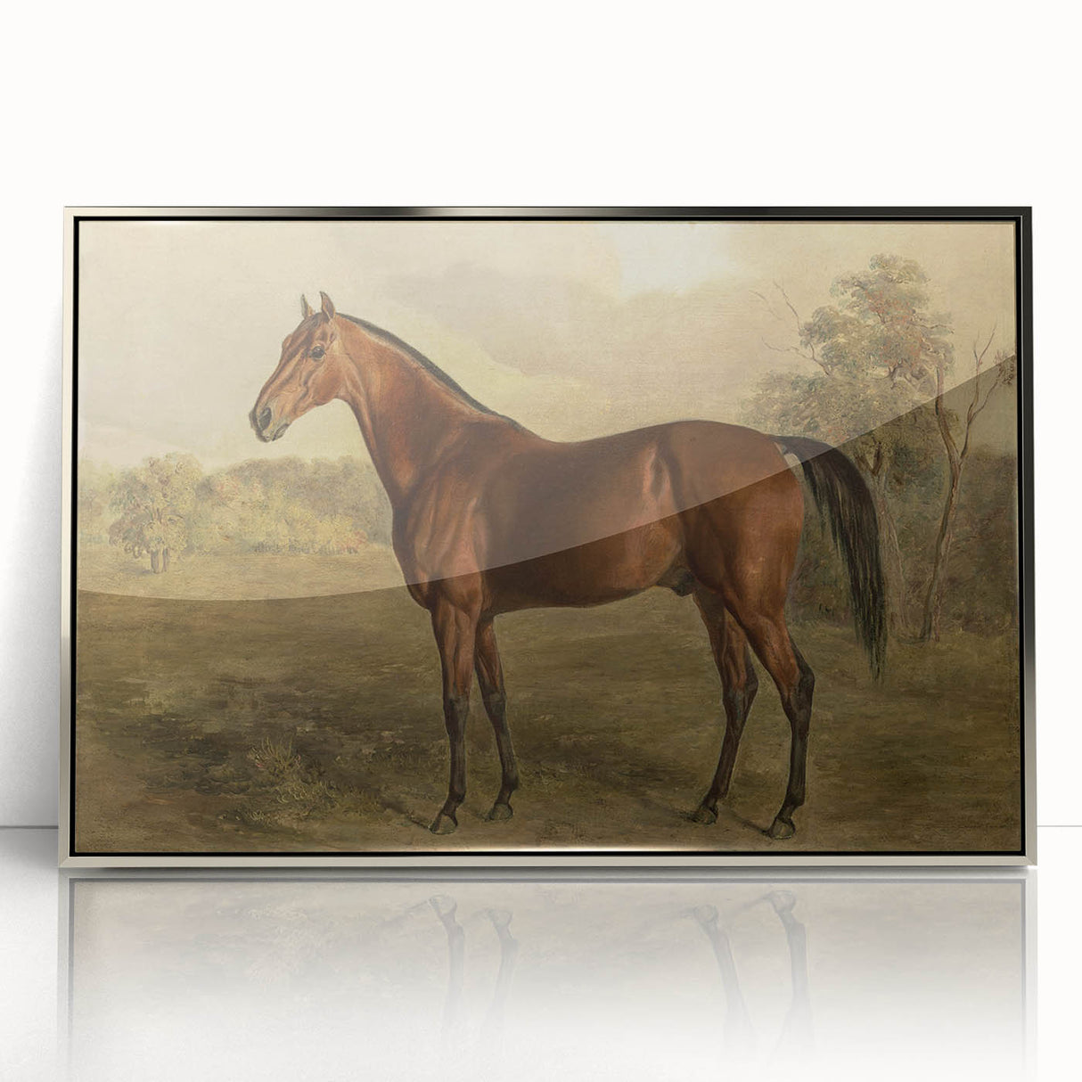 Vintage Animal Art: Majestic Horse – Antique Wildlife Print