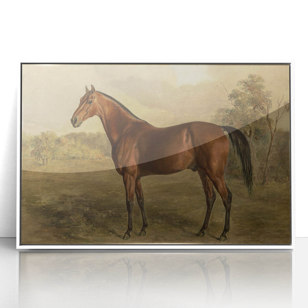 Vintage Animal Art: Majestic Horse – Antique Wildlife Print
