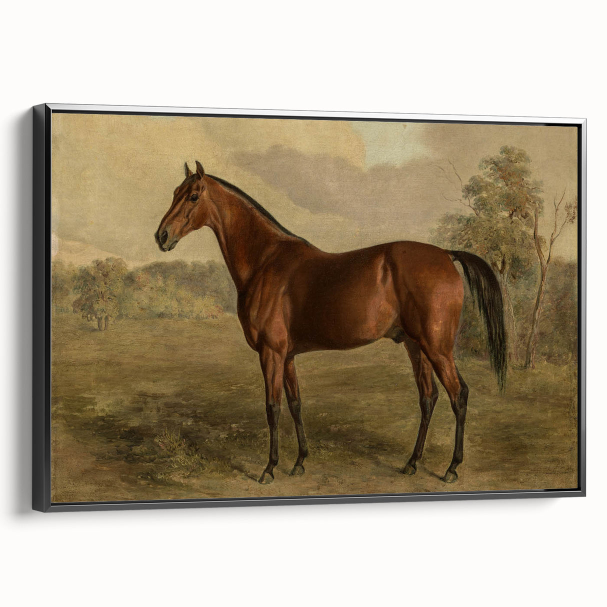 Vintage Animal Art: Majestic Horse – Antique Wildlife Print