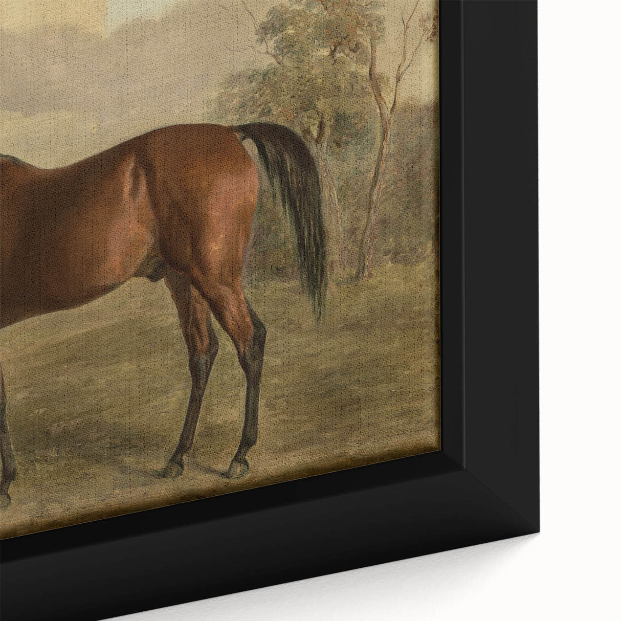Vintage Animal Art: Majestic Horse – Antique Wildlife Print