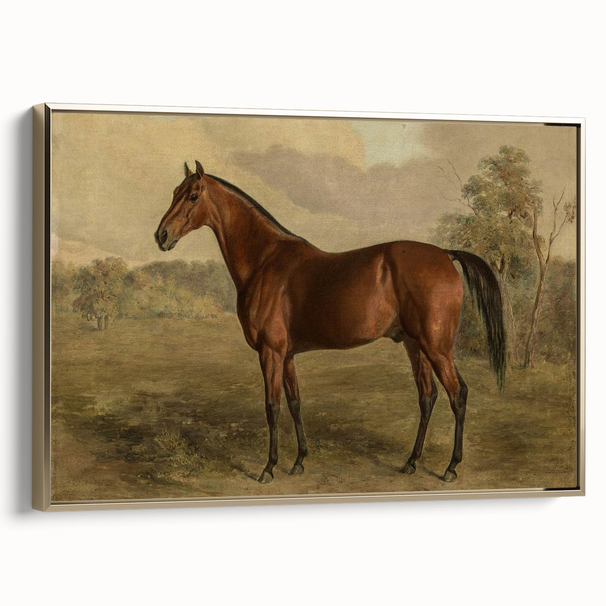 Vintage Animal Art: Majestic Horse – Antique Wildlife Print