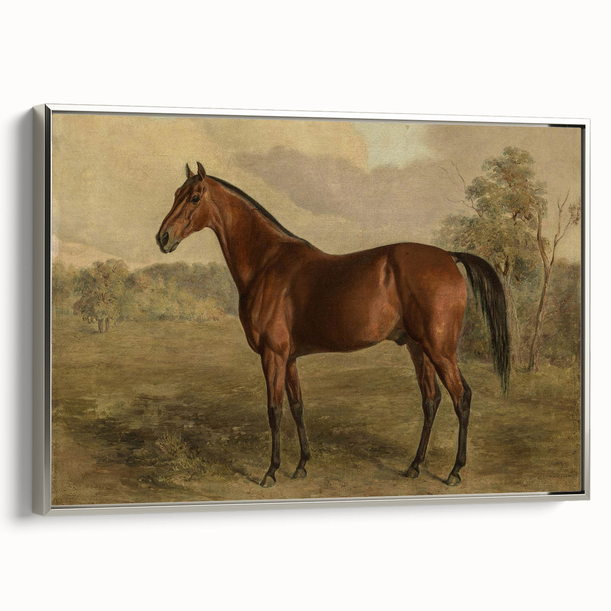 Vintage Animal Art: Majestic Horse – Antique Wildlife Print