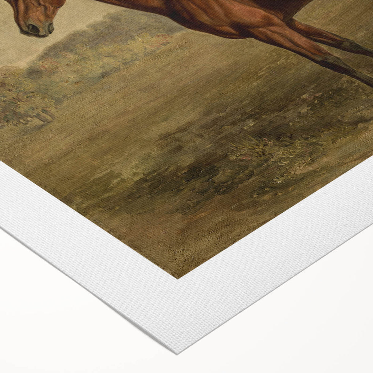 Vintage Animal Art: Majestic Horse – Antique Wildlife Print