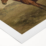 Vintage Animal Art: Majestic Horse – Antique Wildlife Print