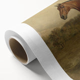 Vintage Animal Art: Majestic Horse – Antique Wildlife Print