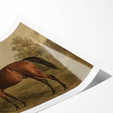 Vintage Animal Art: Majestic Horse – Antique Wildlife Print