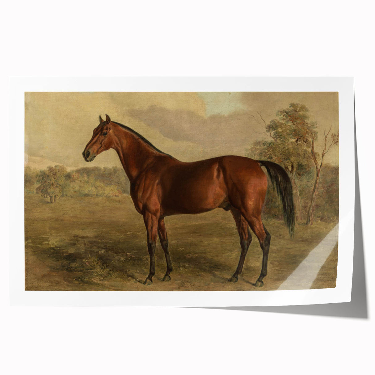 Vintage Animal Art: Majestic Horse – Antique Wildlife Print
