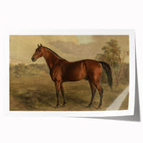 Vintage Animal Art: Majestic Horse – Antique Wildlife Print
