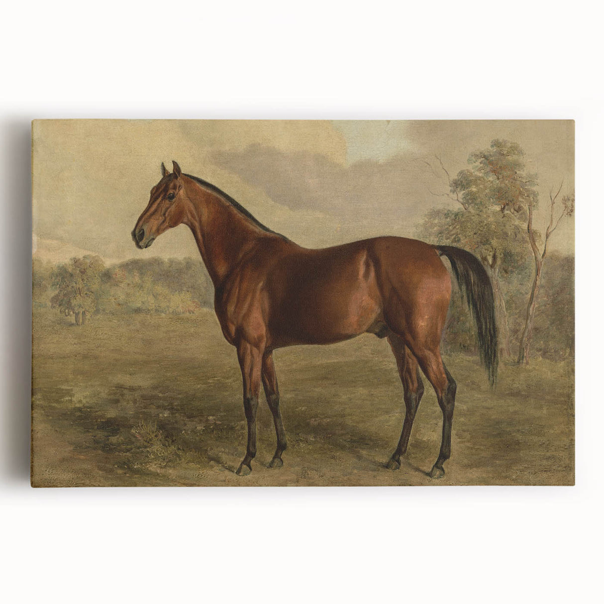 Vintage Animal Art: Majestic Horse – Antique Wildlife Print