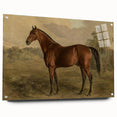 Vintage Animal Art: Majestic Horse – Antique Wildlife Print