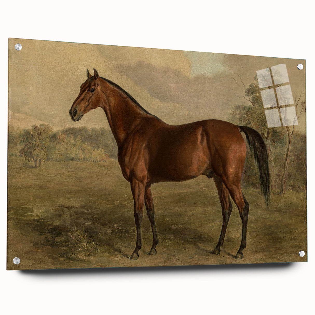 Vintage Animal Art: Majestic Horse – Antique Wildlife Print