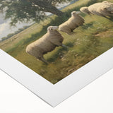 Vintage Animal Art - Timeless Sheep in Pastoral Landscape