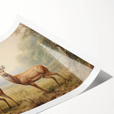 Vintage Animal Art - Majestic Deer in Serene Landscape