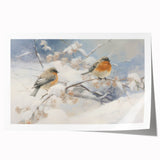 Vintage Animal Art - Winter Birds on Snowy Branches