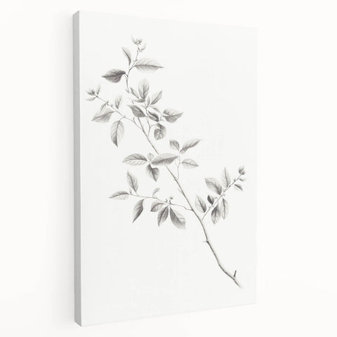 Vintage Botanical Art Prints - Black and White Branch Illustration